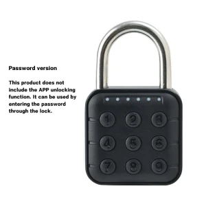 Умный навесной замок — Smart Lock, RAYKUBE