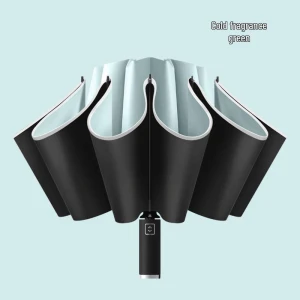 Smart Fully Automatic Reversible Umbrella, Chose One