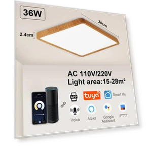 Smart LED Ceiling Light — Overhead Lighting, Cosy Homes