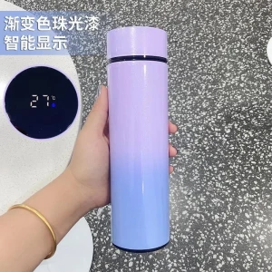 Smart Thermos with LED Temperature Display — Smart Water Bottle, Binchi Fitness