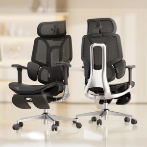 Ergonomic Office Chair with Footrest — Ergonomic Chair, Hbada