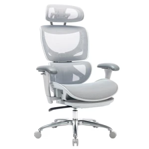 Ergonomic Mesh Office Chair with Footrest — Ergonomic Chair, COLAMY
