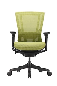 Smart Motion Mesh Office Chair — Ergonomic Chair, Raynor