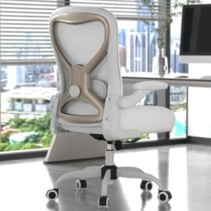 Office Desk Chair with Ergonomic Lumbar Support — Ergonomic Chair, CASASIO