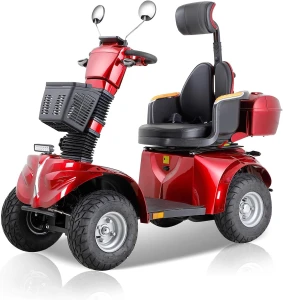 Heavy-Duty 4 Wheel Mobility Scooter, Dvsripa