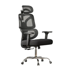 Big and Tall Reclining Ergonomic Desk Chair — Smart Chairs, DEVAISE
