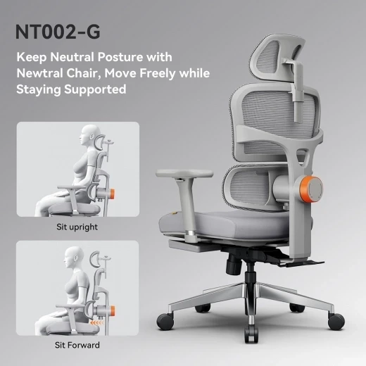 Ergonomic Chair with Adjustable Backrest, Armrest, Headrest, and Footrest - Grey — Ergonomic Chair, NEWTRAL