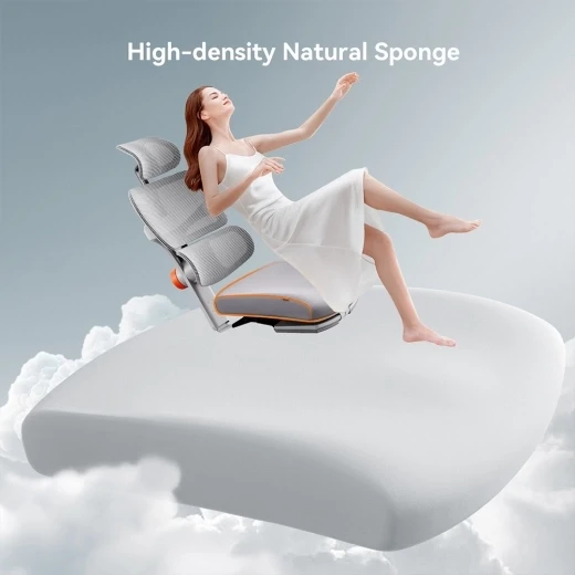 Ergonomic Chair with Adjustable Backrest, Armrest, Headrest, and Footrest - Grey — Ergonomic Chair, NEWTRAL