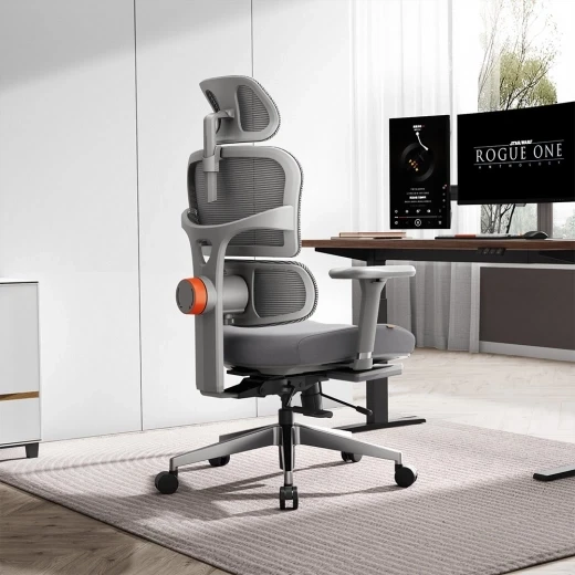 Ergonomic Chair with Adjustable Backrest, Armrest, Headrest, and Footrest - Grey — Ergonomic Chair, NEWTRAL