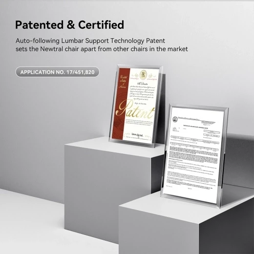 Ergonomic Chair with Adjustable Backrest, Armrest, Headrest, and Footrest - Grey — Ergonomic Chair, NEWTRAL