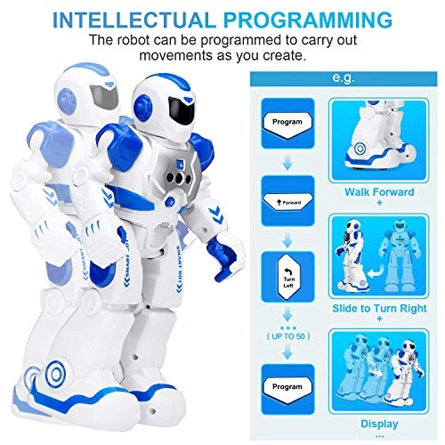 Gesture Sensing RC Robot Toy for Kids, KingsDragon