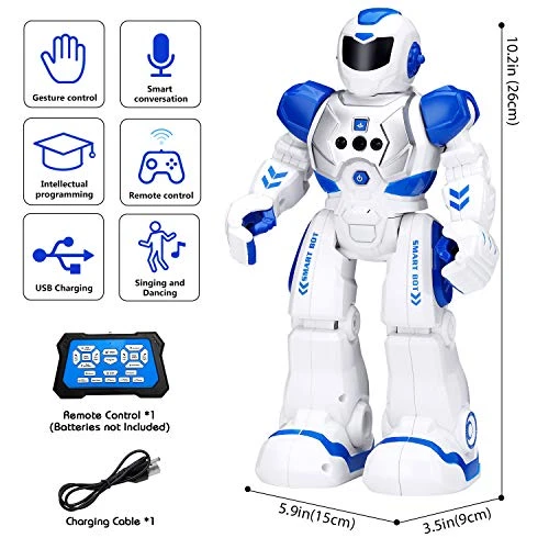 Gesture Sensing RC Robot Toy for Kids, KingsDragon
