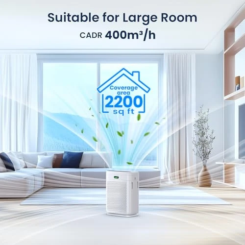 Air Purifier for Home Large Room with Remote — Air Purifier, AMEIFU