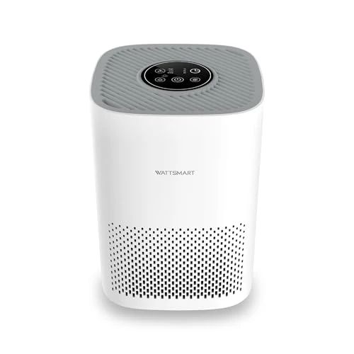 H13 True HEPA Air Purifier for Home - Portable Air Cleaner with Quiet Sleep Mode — Air Purifier, WATTSMART