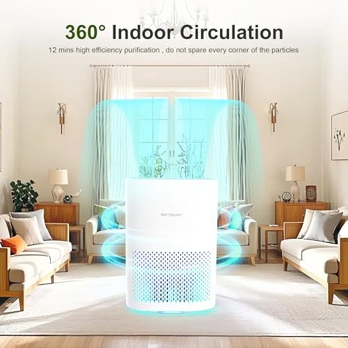 H13 True HEPA Air Purifier for Home - Portable Air Cleaner with Quiet Sleep Mode — Air Purifier, WATTSMART