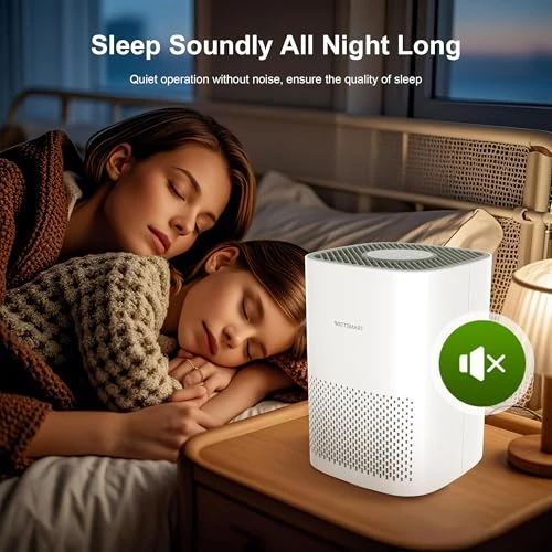 H13 True HEPA Air Purifier for Home - Portable Air Cleaner with Quiet Sleep Mode — Air Purifier, WATTSMART