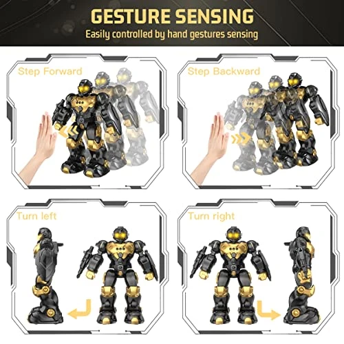 Gesture Sensing RC Robot Toy, Semour