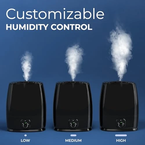 Cool Mist Humidifier — Humidifier, Everlasting Comfort