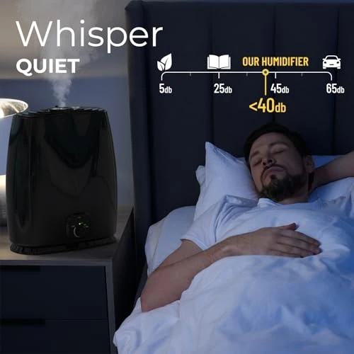 Cool Mist Humidifier — Humidifier, Everlasting Comfort