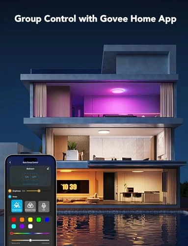 Smart Ceiling Light — Smart Light Bulb, Govee