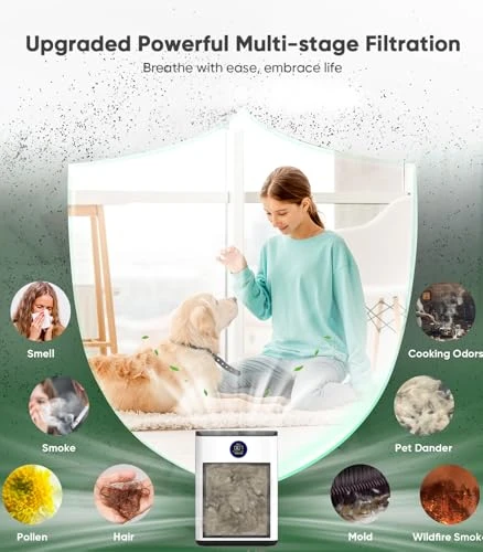 Air Purifier for Home — Air Purifier, FRESHDEW