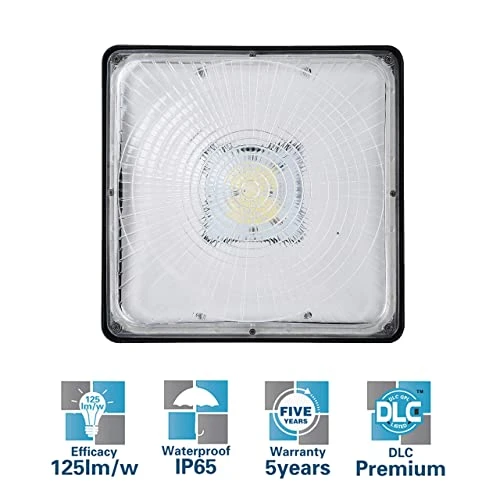 LED Canopy Light Fixture, Suchace