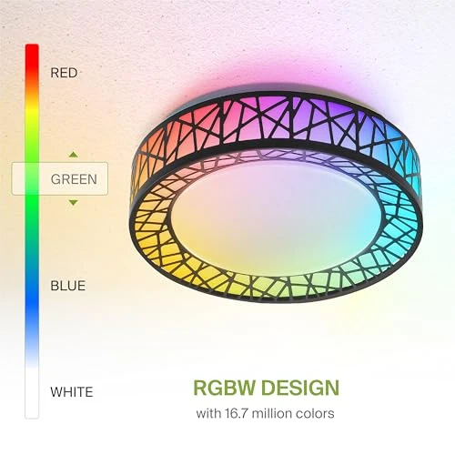 Smart RGBW Flush Mount Ceiling Light — Smart Light Bulb, ASD