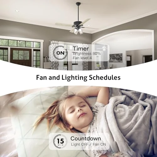 Smart Ceiling Fan Control and Dimmer Light Switch — Smart Switch, TREATLIFE