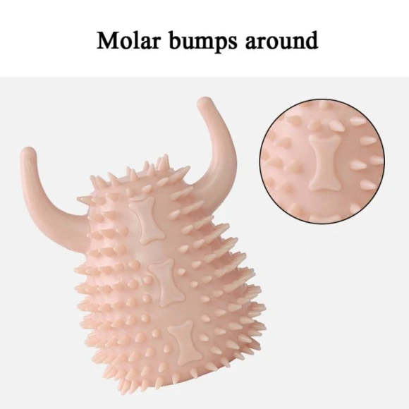 Dog Toothbrush Chewing Toy