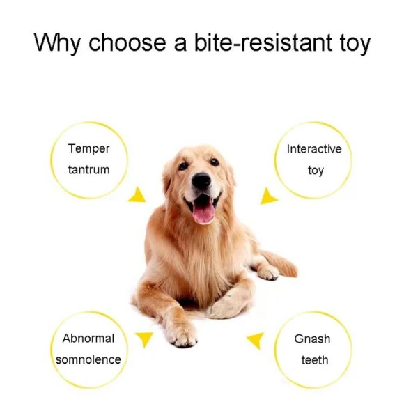 Knot Pet Bite Resistant Teeth Cleaning Toy