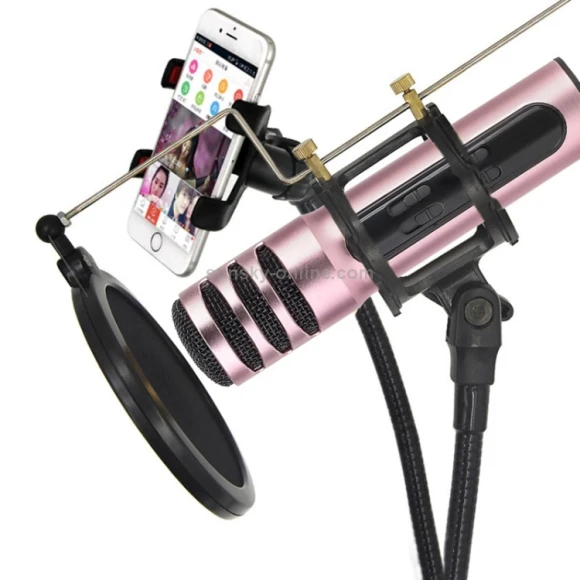 Condenser Microphone Dual Mobile Phone Karaoke Live Singing Microphone, BGN