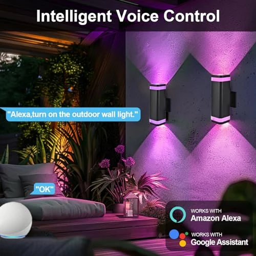 Smart Up and Down Lights Outdoor 2 Pack, wowlite