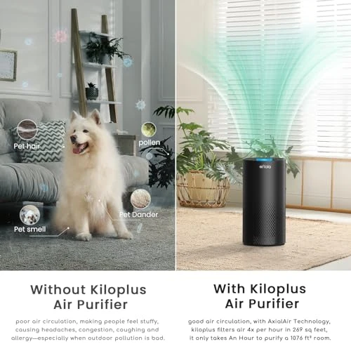 Wi-Fi Smart Air Purifier — Air Purifier, Afloia