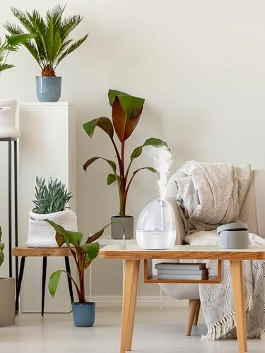 Cool Mist Humidifier — Humidifier, Poksolfy