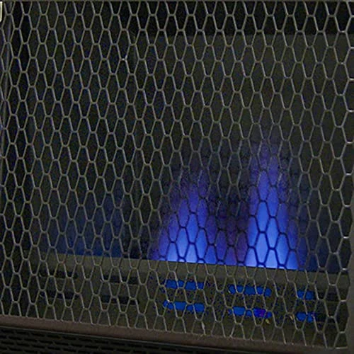 Blue Flame Space Heater with Thermostat Control, ProCom