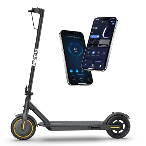 Foldable Electric Scooter — Electric Scooter, WERHY