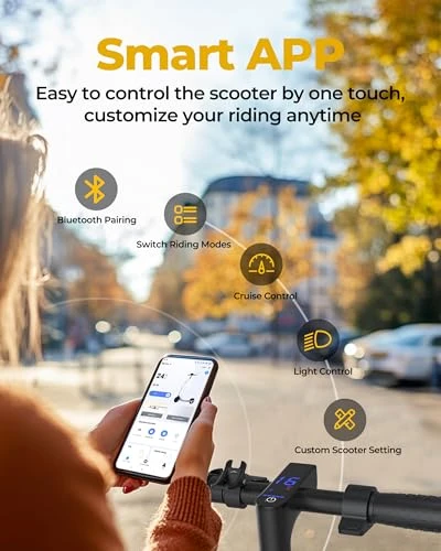 Foldable Electric Scooter — Electric Scooter, WERHY