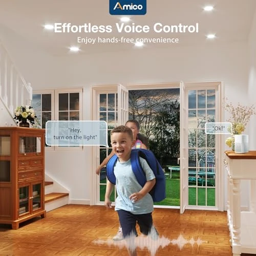 Smart LED Recessed Lighting — Smart Light Bulb, Amico