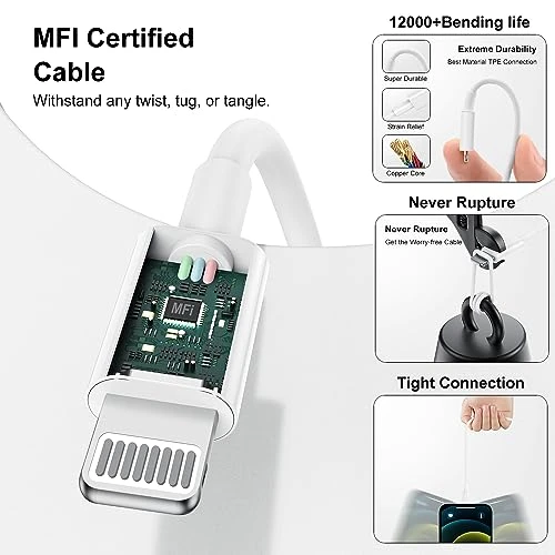 Fast Charger with 6ft Lightning Cable, Fashia