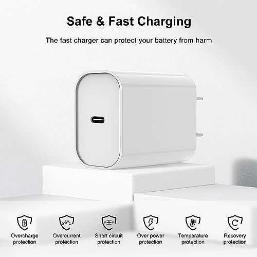 Fast Charger with 6ft Lightning Cable, Fashia