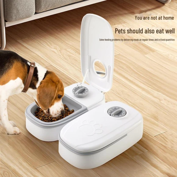 Smart Feeder for Cats and Dogs — Automatic Pet Feeder, WoW Home