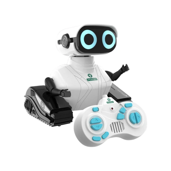 Intelligent Remote Control Robot — Robot Pet, Challenge