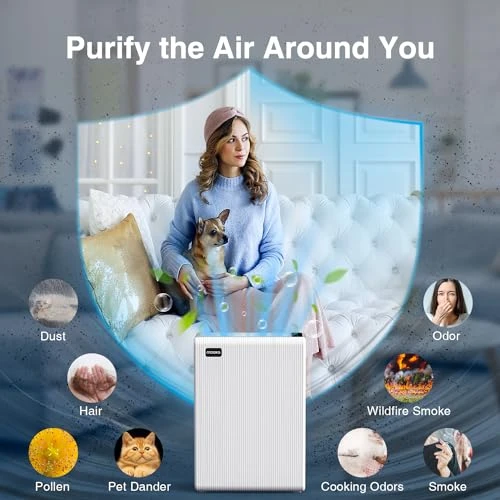 Air Purifier for Large Rooms — Air Purifier, Mooka Family