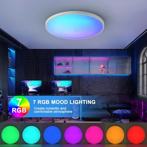 Smart Ceiling Light with Remote Control — Smart Light Bulb, HENTAG