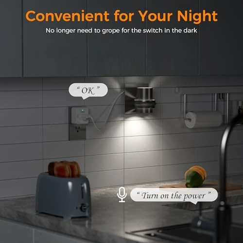 Remote Voice Control Outlet Plug — Smart Plug, TESSAN