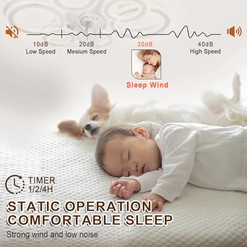 Smart Ceiling Fan with Lights and Remote — Smart Fan, AFWAO