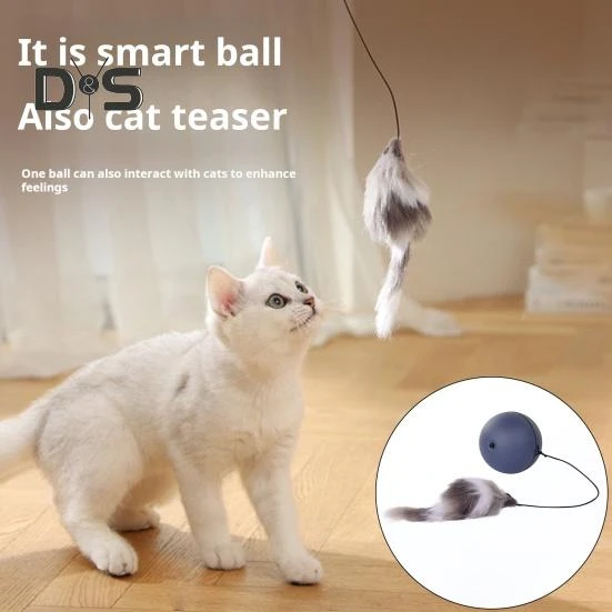 Automatic Cat Toy with Rolling Ball — Automatic Cat Toy, Kitty Cat House