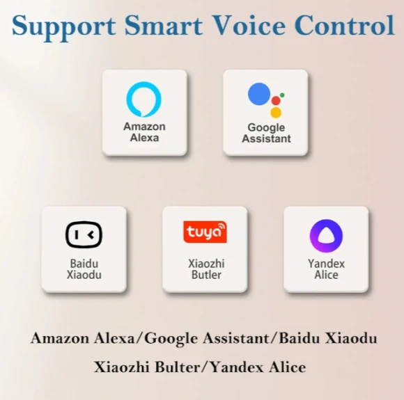 16A Smart WiFi EU Plug Socket with Power Monitoring and Voice Control — Smart Plug, LDNIO