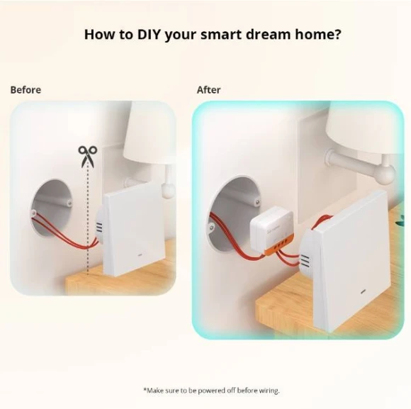Single Fire Dual Control Smart On/Off Module Switch with Timing and Voice Control — Smart Switch, Sonoff