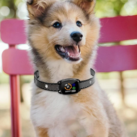 Smart Anti-Bark Collar for Dogs, Colorful summer